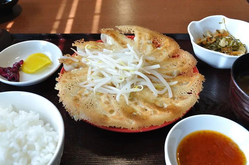 Gyozas a la plancha con brotes de soja, arroz y salsa
